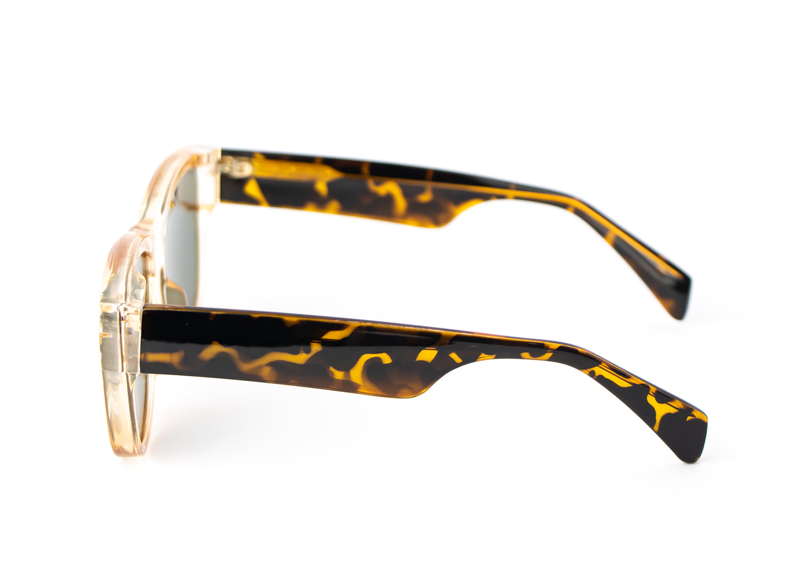 Amber Glow Tortoise