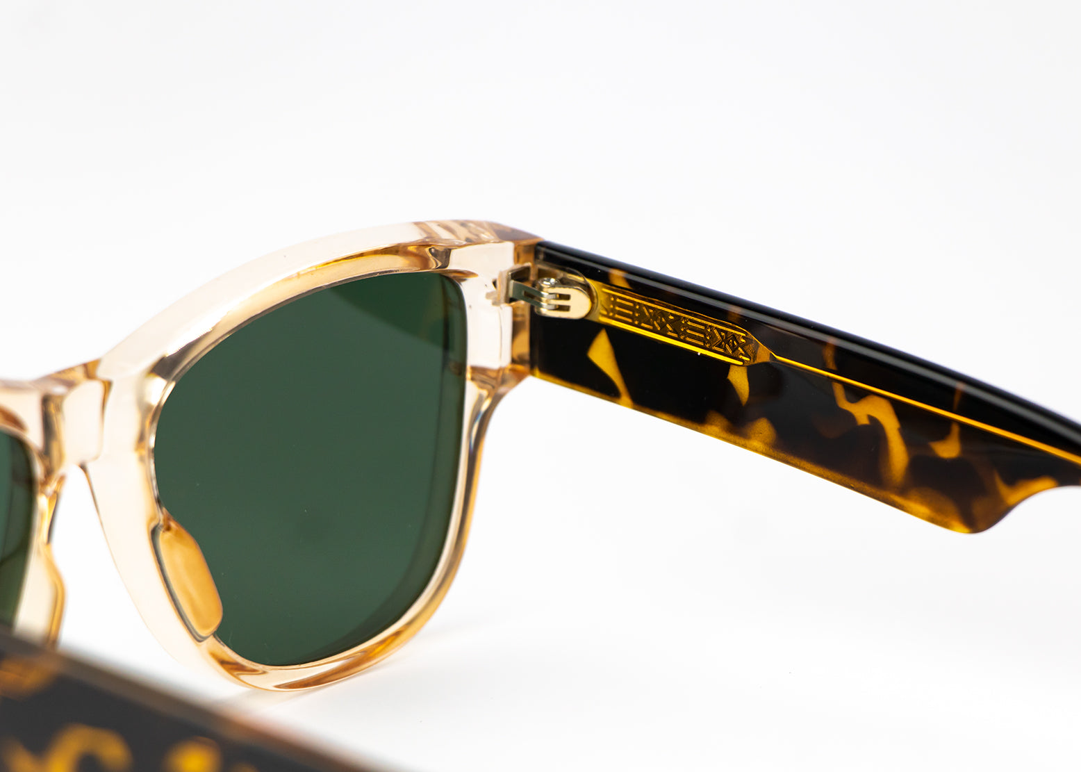 Amber Glow Tortoise